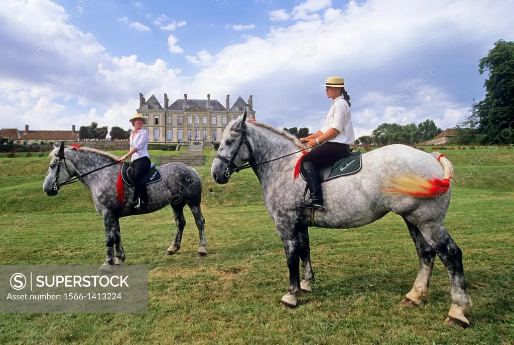 riders on Percherons, Haras du Pin, Le Pin -au-Haras, Orne department, Lower Normandy region, France, Western Europe.