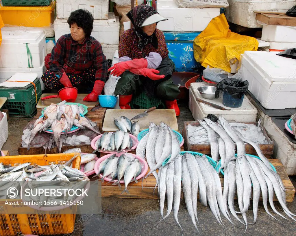 South Korea, Busan, Jagalchi Fish Market,.
