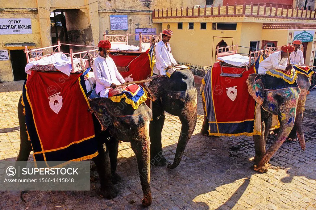 Elephants for sightseeing, Amber Fort or Amer Palace, next to Jaipur, Rajasthan state, India