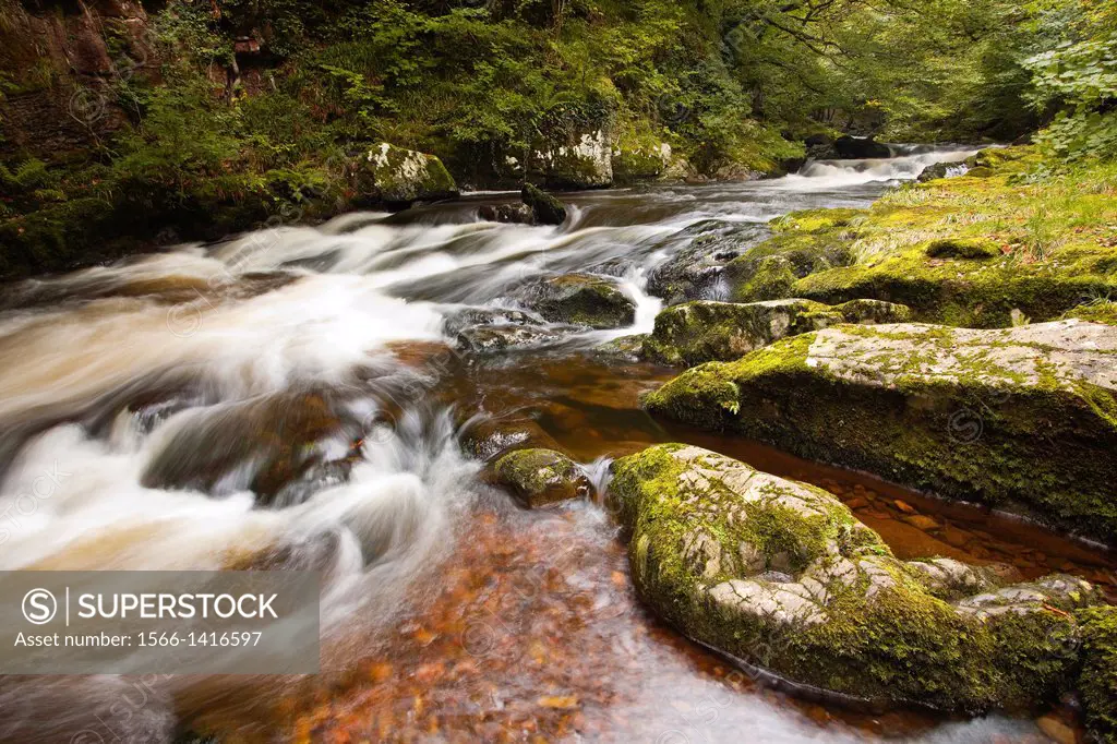 The fast flowing waters of the East Lyn near to Watersmeet in Exmoor.