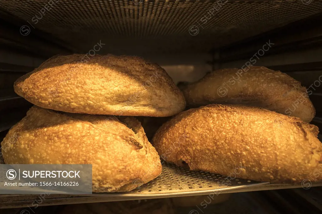 Freshly baked bread. Berlin, Germany