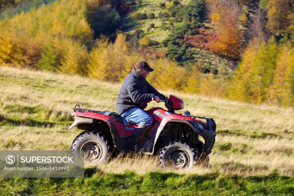 Farmer on Quad Bike with woods in background. Autumn.