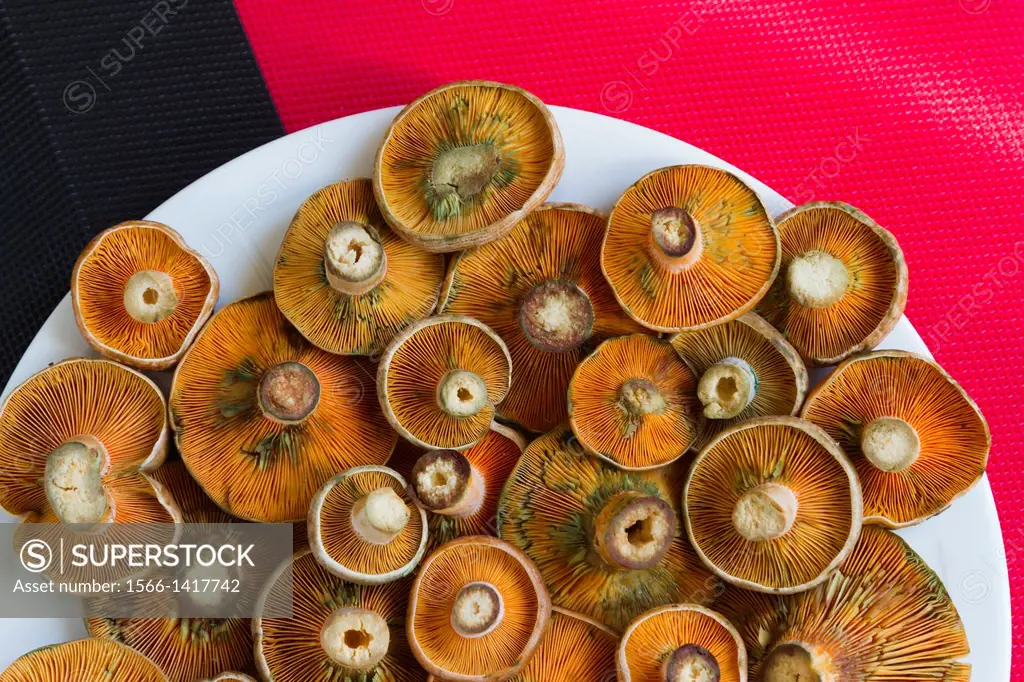 Mushrooms.