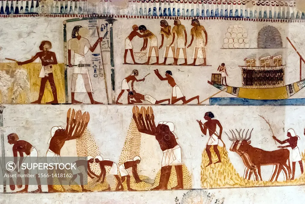 hieroglyphs in the tomb chapel of Menna - Deir el-Medina, Upper Egypt.