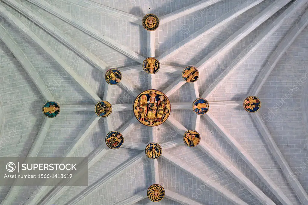 Arbulu church ceiling, Alava, Basque Country, Spain, Europe