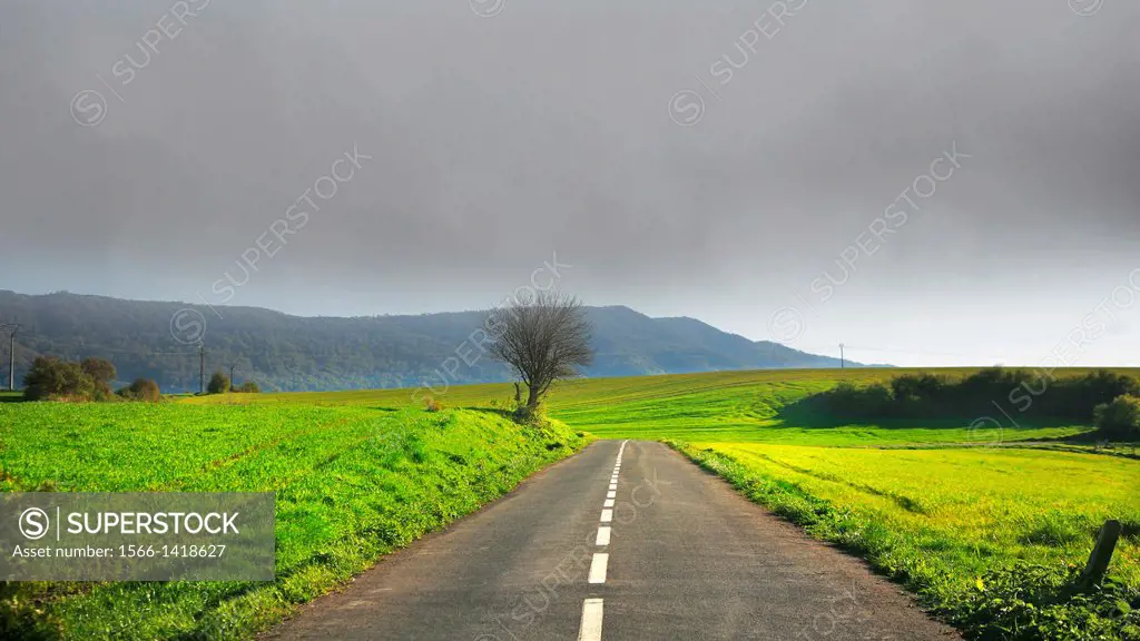 Okariz road and scape, Alava, Basque Country, Spain, Europe
