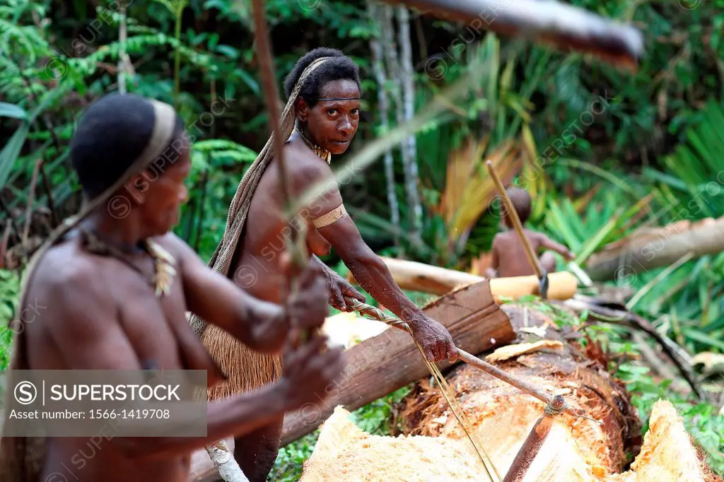 Kombai women cutting the inner part from the tree trunk of a Sago palm tree, Papua, Indonesia, Southeast Asia.