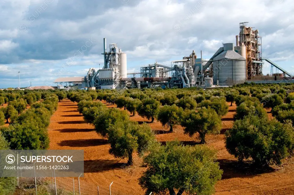 Olive grove and cement factory. Morata de Tajuña, Madrid province, Spain.