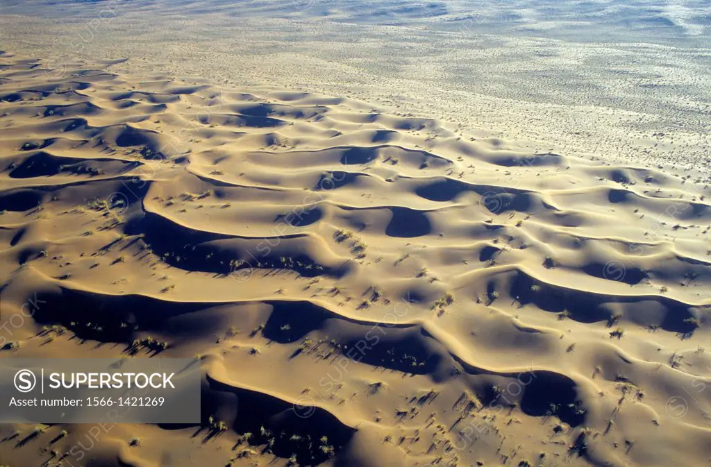 Aerial view of dunes of north Namib-Naukluft NP, Namibia, Africa.