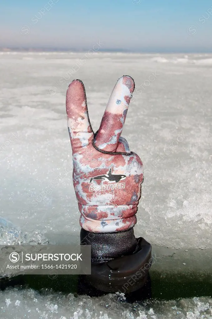 Diver´s hand giving the 20 bar sign, subglacial diving, ice diving, in the frozen Black Sea, a rare phenomenon, last time it occured in 1977, Odessa, ...