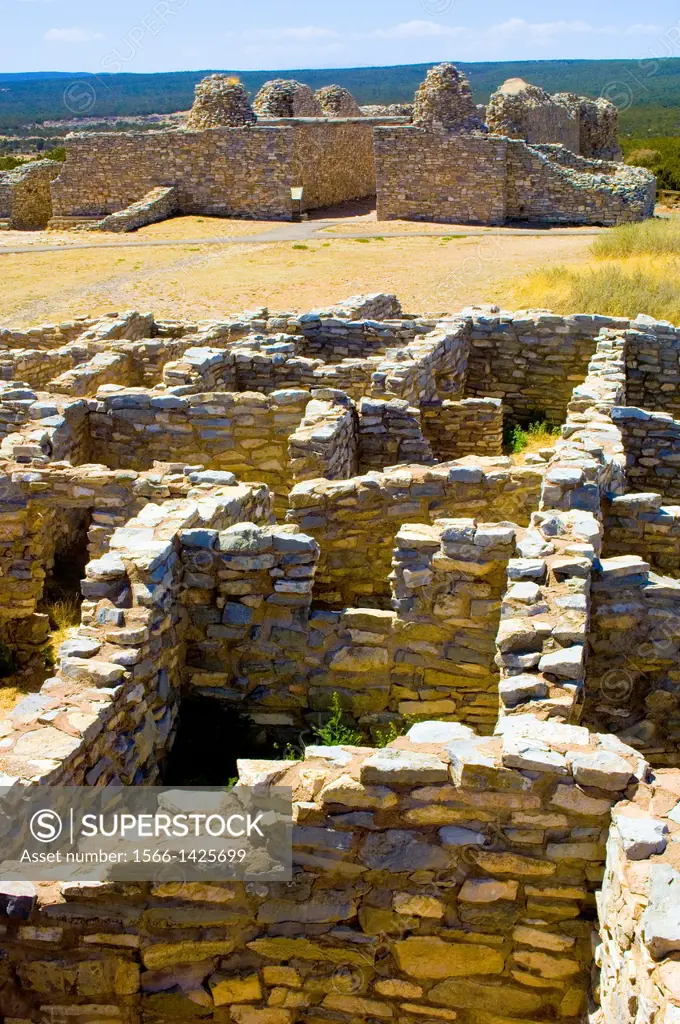 Pueblos of the Salinas Valley once a thriving pueblo community of Tiwa and Tompiro speaking peoples in the remote area of central New Mexico. Early in...