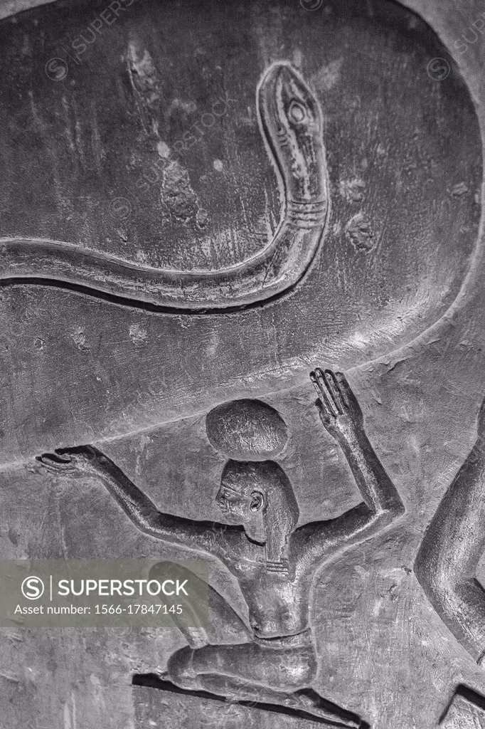Egypt, Dendera temple, in a crypt, strange scene called ""light bulb"", sometimes seen as a proof that Ancient Egyptians knew electricity. it's in fac...