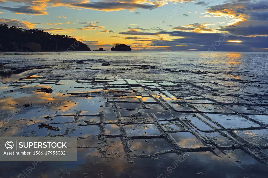 Tessellated pavement in Pirate´s Bay, Tasmania (Australia).