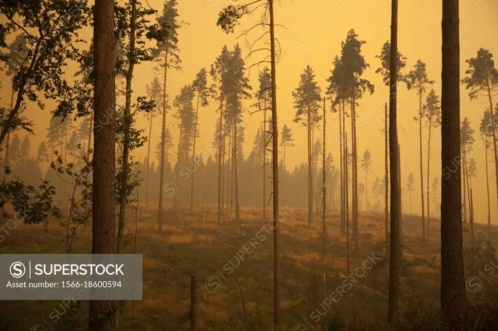 Fire smoke from the forest fire in 2014 in northern Västrmanland is approaching Ängelsberg. The wind is fresh.