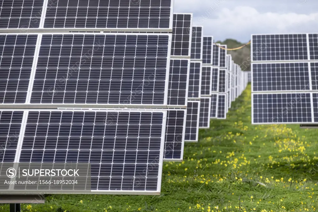Sa Caseta Parc Fotovoltaic, solar energy plates, Llucmajor, Mallorca, Balearic Islands, Spain.