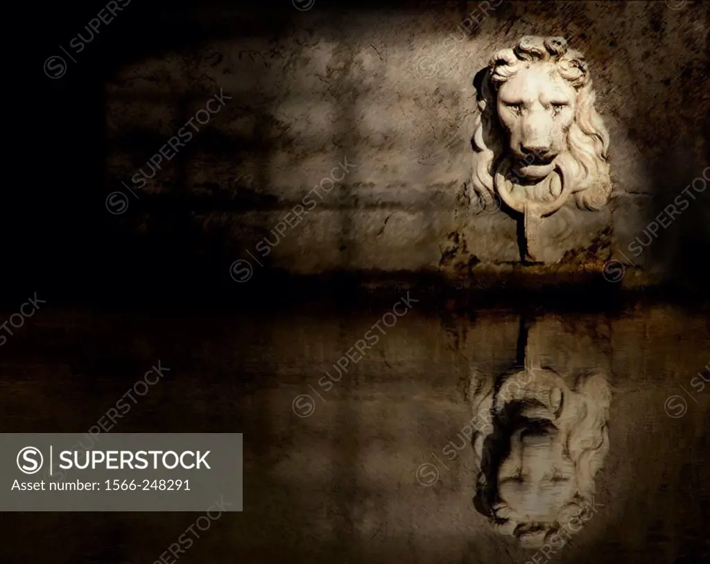 Face of a lion reflecting in front of a channel in Treviso. Italy.