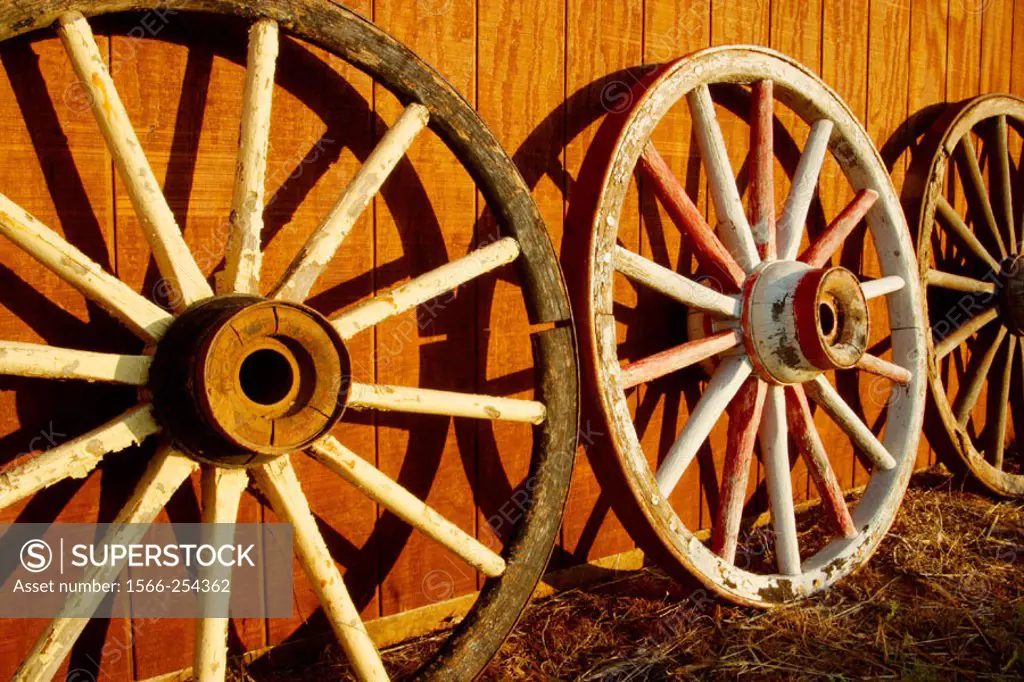 Wagon wheels, Tongue River Ranch, Guthrie, Texas, USA
