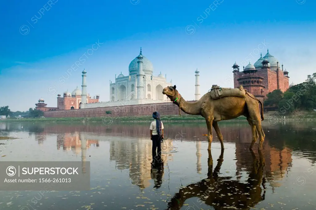 Taj Mahal- Indian Boy and Camel in Yamuna River. Agra. Uttar Pradesh. India.
