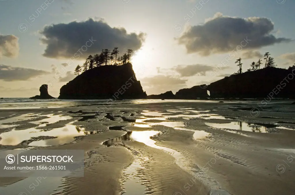 Natural Arch and offshore stack. Coastline near La Push. Olympic National Park. Washington. USA.