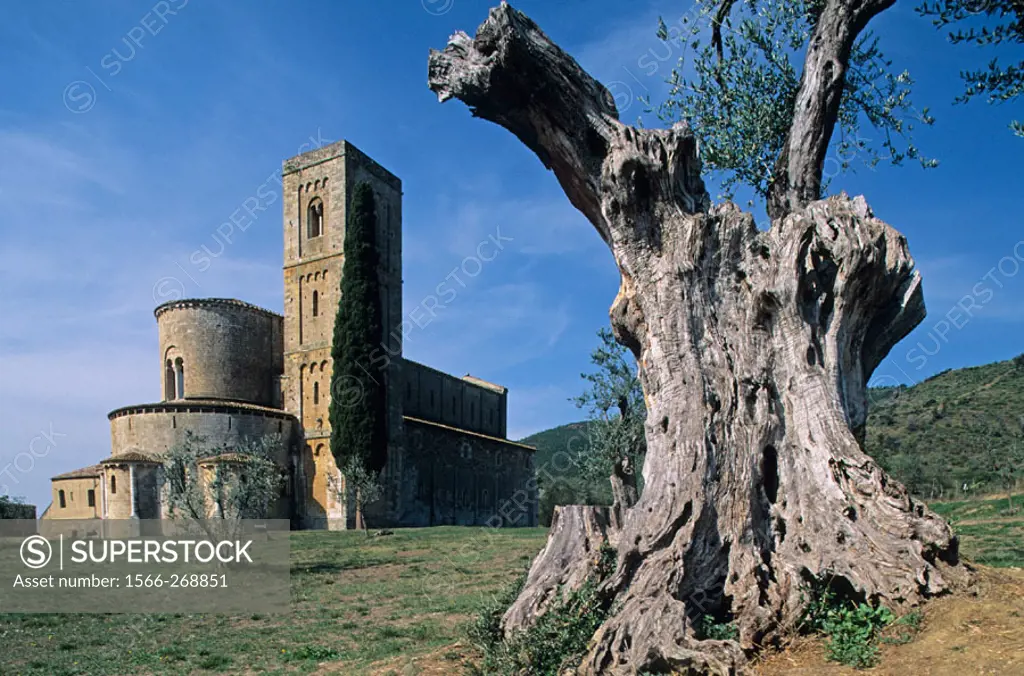 Sant´Antimo´s abbey. Tuscany, Italy