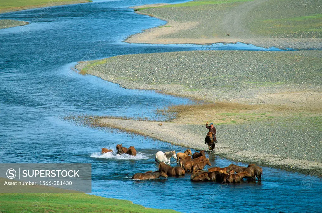 Rallying of horses drove. Orkhon valley. Övörkhangai province. Mongolia.