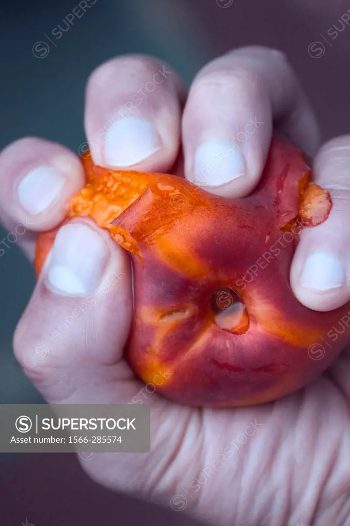 Hand squeezing a peach