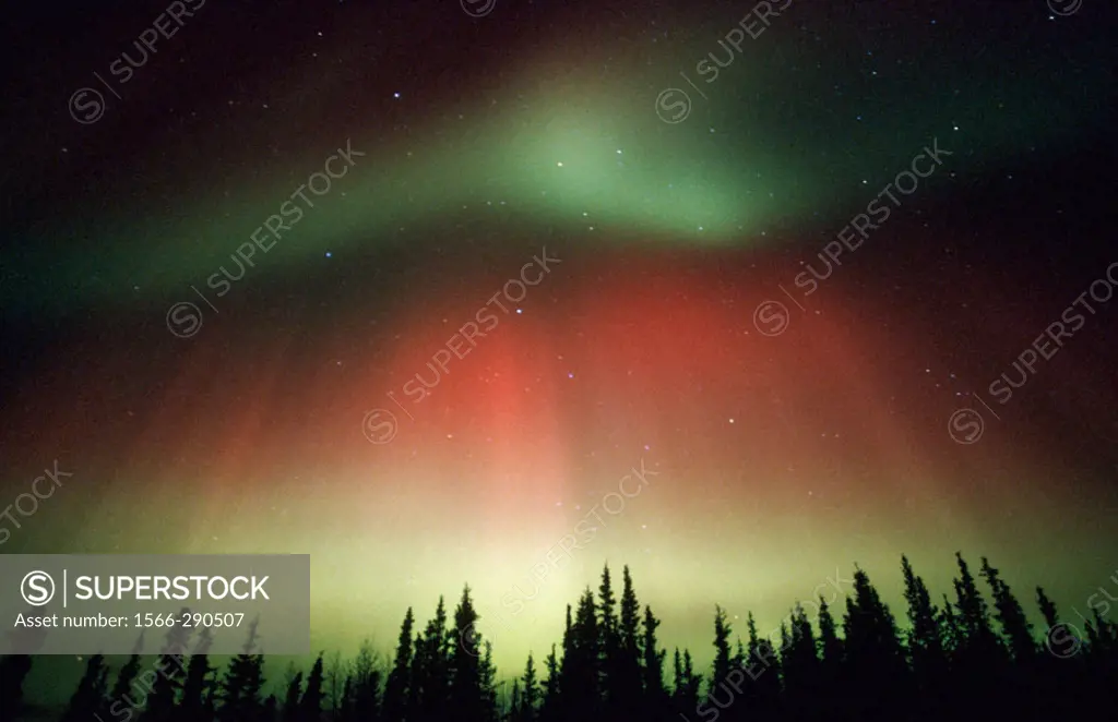 Aurora Borealis or Nothern Lights. Denali National Park. Alaska. USA