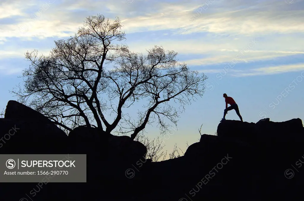Person resting near tree at top