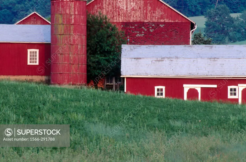 Red barns in spring. Pennsylvania, USA