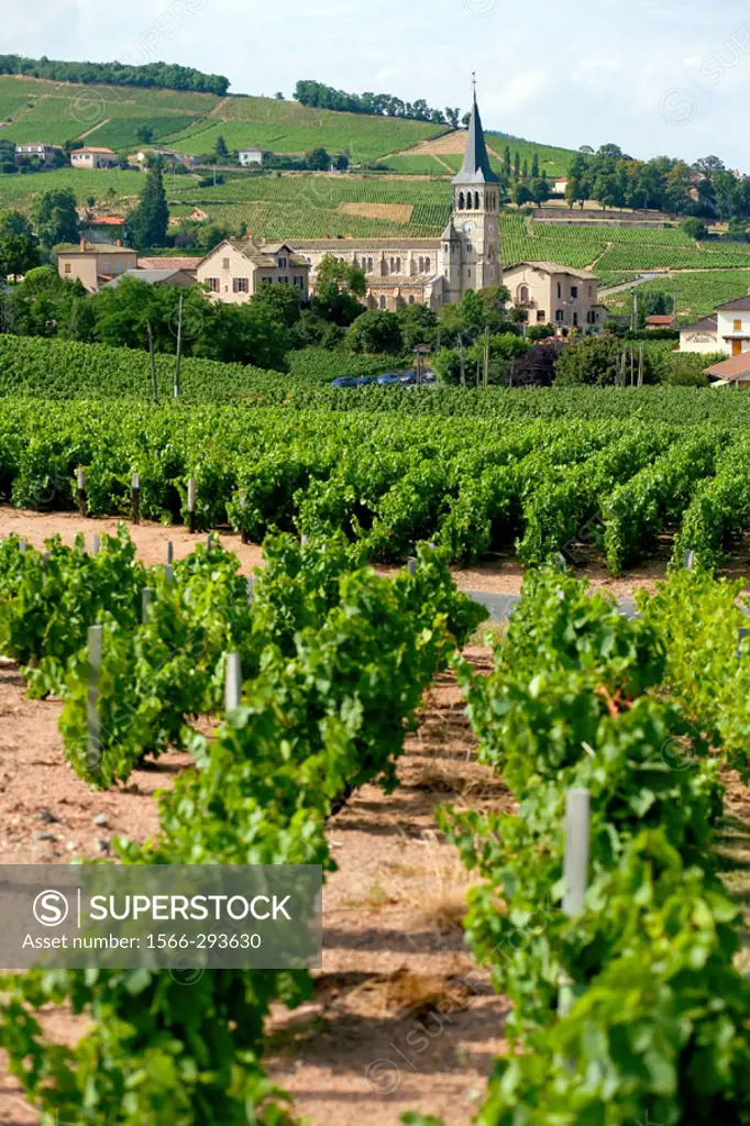 Vineyards and ´Chénas´ village. Beaujolais wine country. Rhone valley. France.