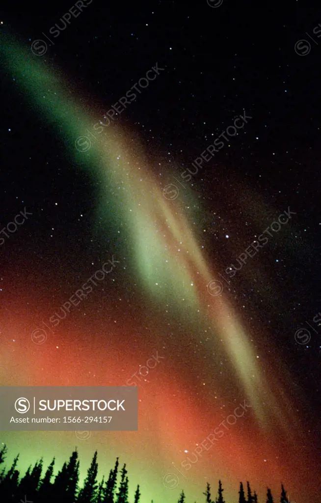 Nothern lights or Aurora borealis. Alaska. USA