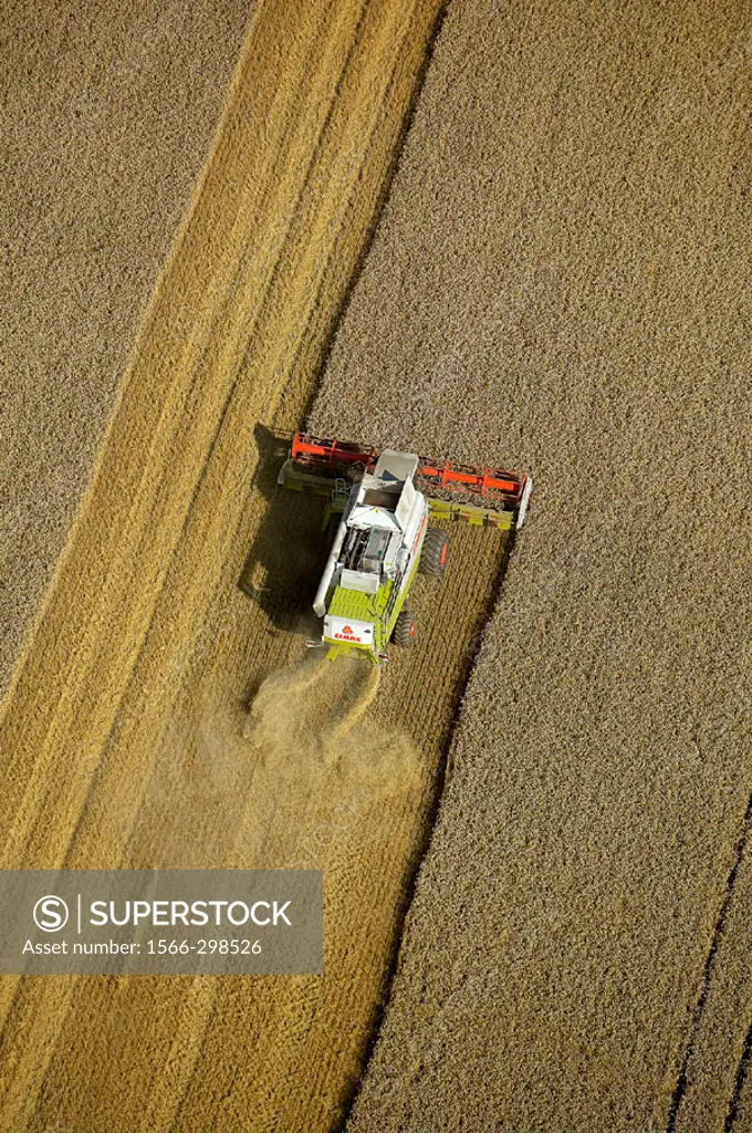 Combine harvesting on agricultural field, aerial view. Skåne. Sweden.