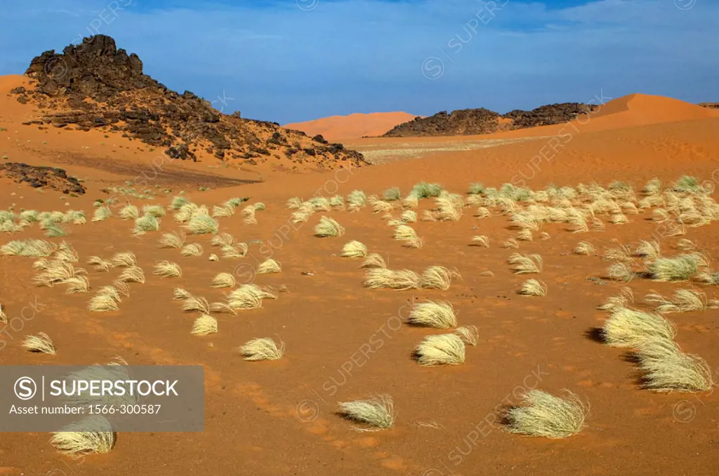 Desert, Libya.