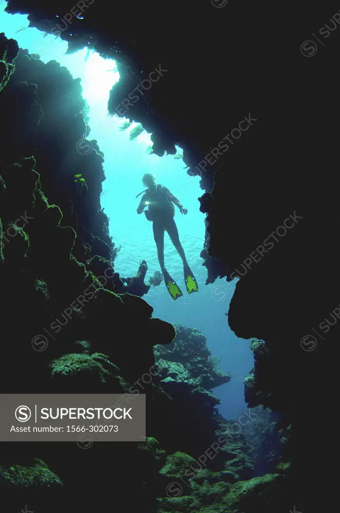 Diver heading inside coral reef crevice. Roatan. Honduras.