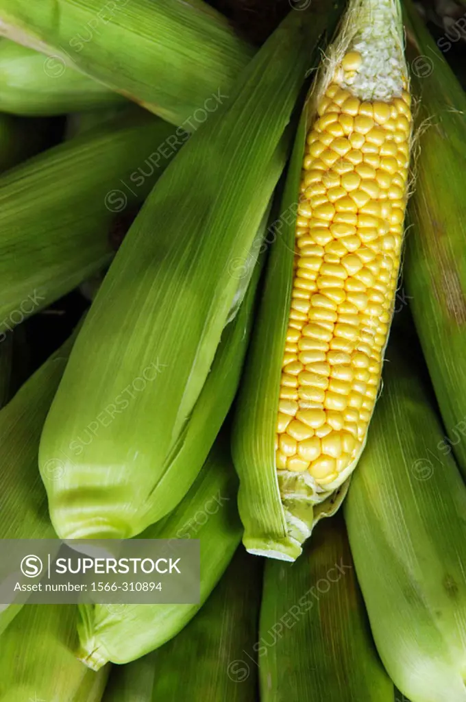 Corn ear,  fruits and vegetables market