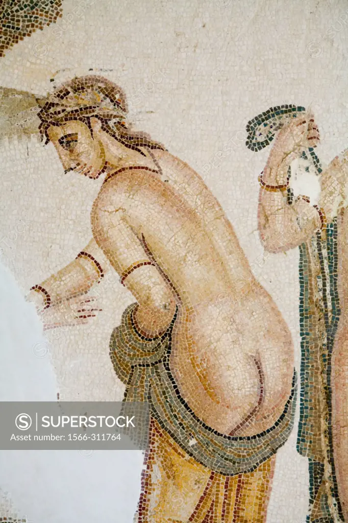 Roman mosaic. The museum. Nabeul. Tunisia