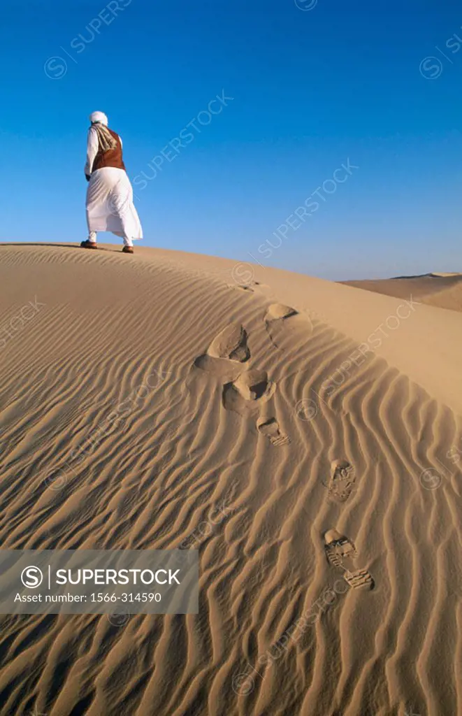 Great Sand Sea, Lybian desert, Siwa Oasis. Egypt