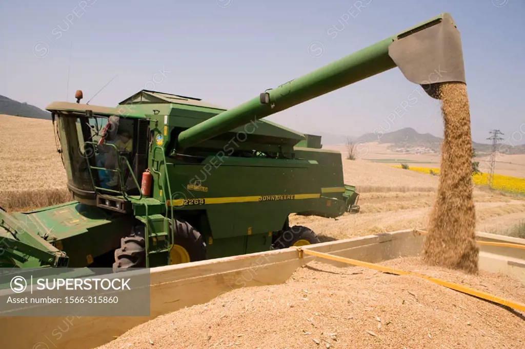 Agricultural machinery. Combine harvester on field of wheat. ´Learza´ estate. Near Estella, Navarre, Spain