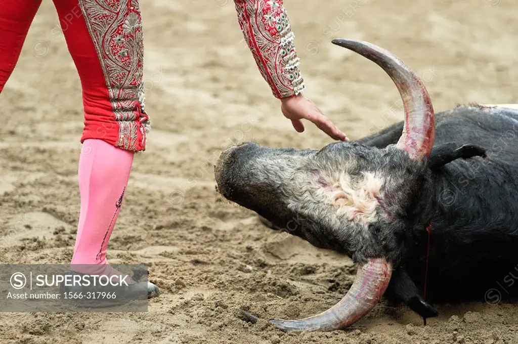 Bullfight.