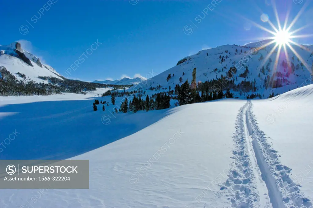 Sun flair over ski tracks on the Tioga Pass road (Highway 120) in winter, Inyo National Forest, Sierra Nevada Mountains, California