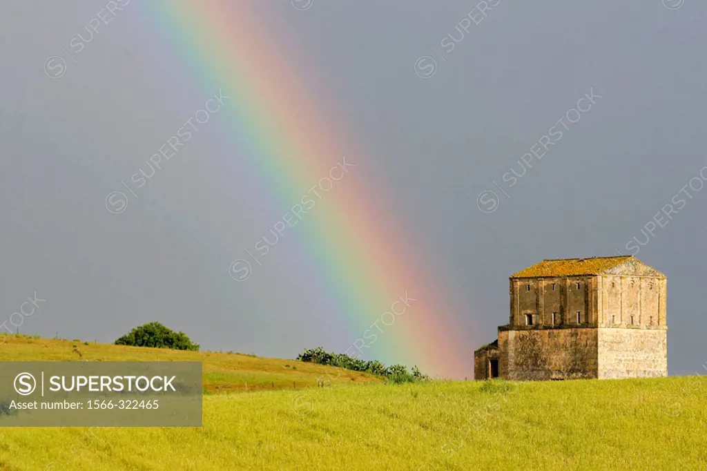 Rainbow and field. Sevilla province, Andalusia, Spain