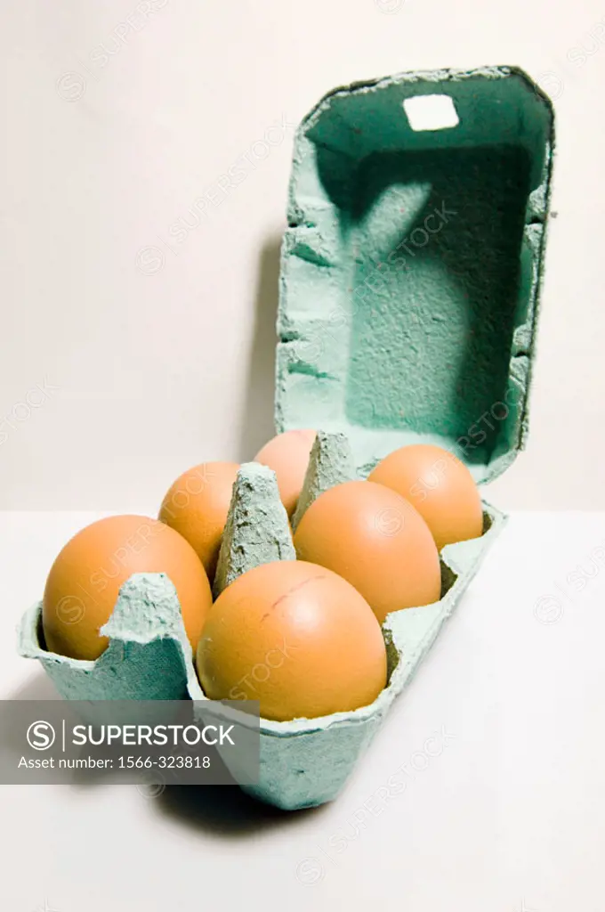 Egg carton