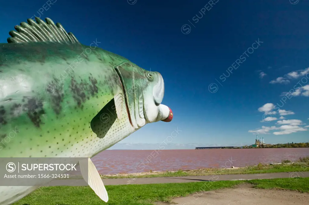 Big Fish!. Chequamegon Bay. Lake Superior Shore. Ashland. Wisconsin. USA.