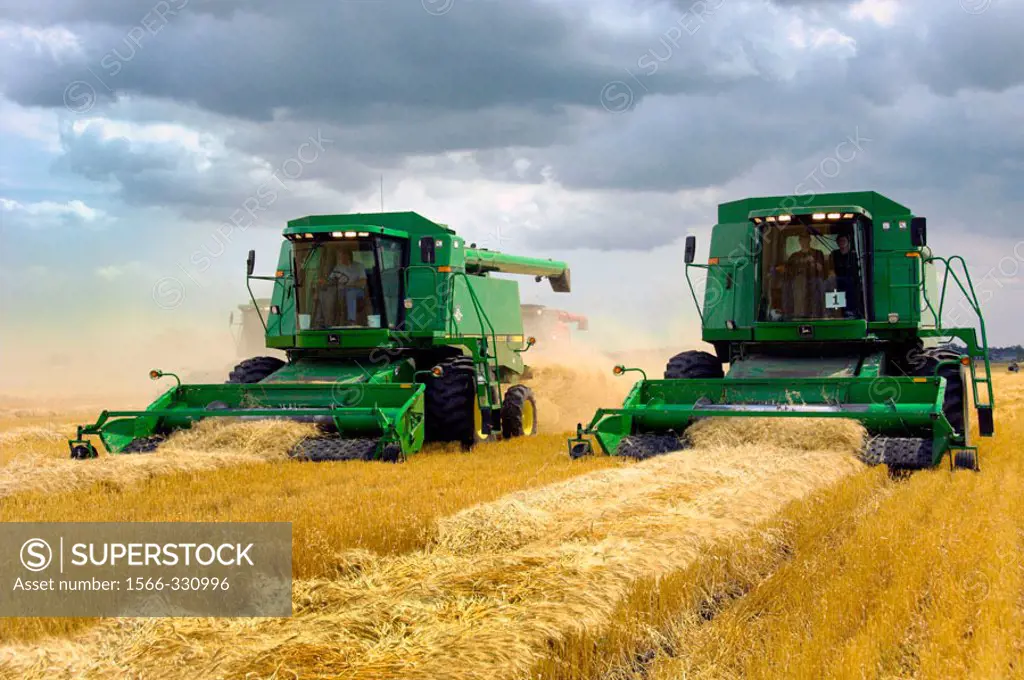 John Deere combines harvesting wheat on a field near Winkler in southern Manitoba. Canada.