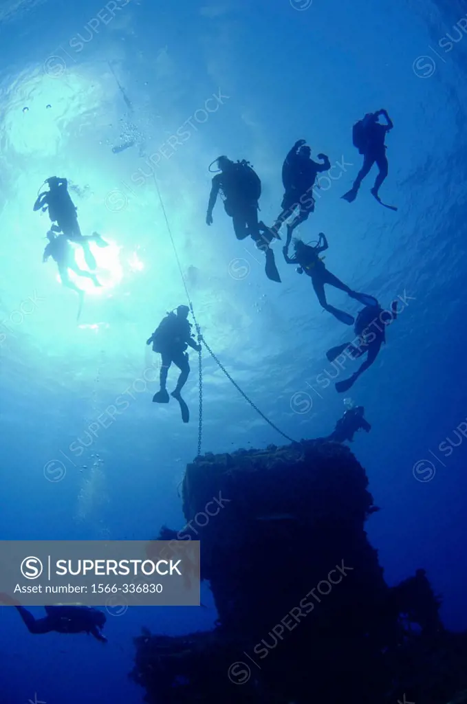Divers at mooring line at top of USS Saratoga Bikini Atoll.