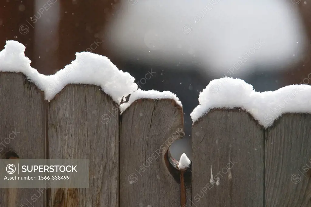 Early winter snow gathers atop wooden fence. Wasatch Mountains, Utah.
