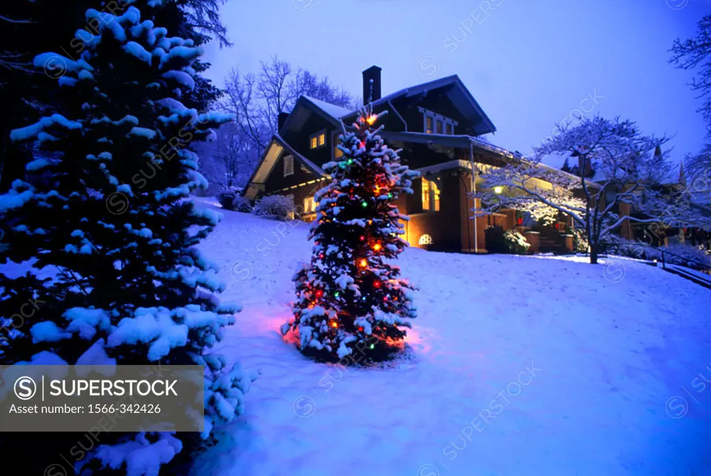 Snow, Christmas Tree & House, Brookville Historic District, Pennsylvania, Usa.