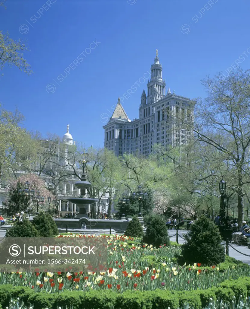 Spring Blossoms, City Hall Park, Manhattan, New York, Usa.