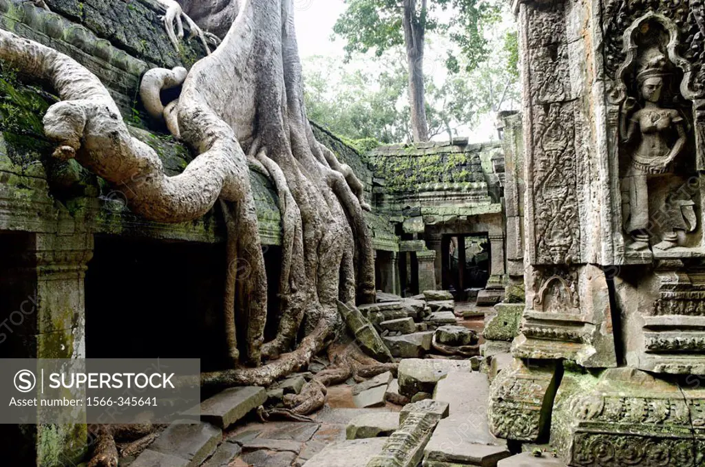 Ta Prohm temple, mid XIIth century, early XIIIth century AD. Buddhist. Temples of Angkor. Siem Reap area. Kingdom of Cambodia.