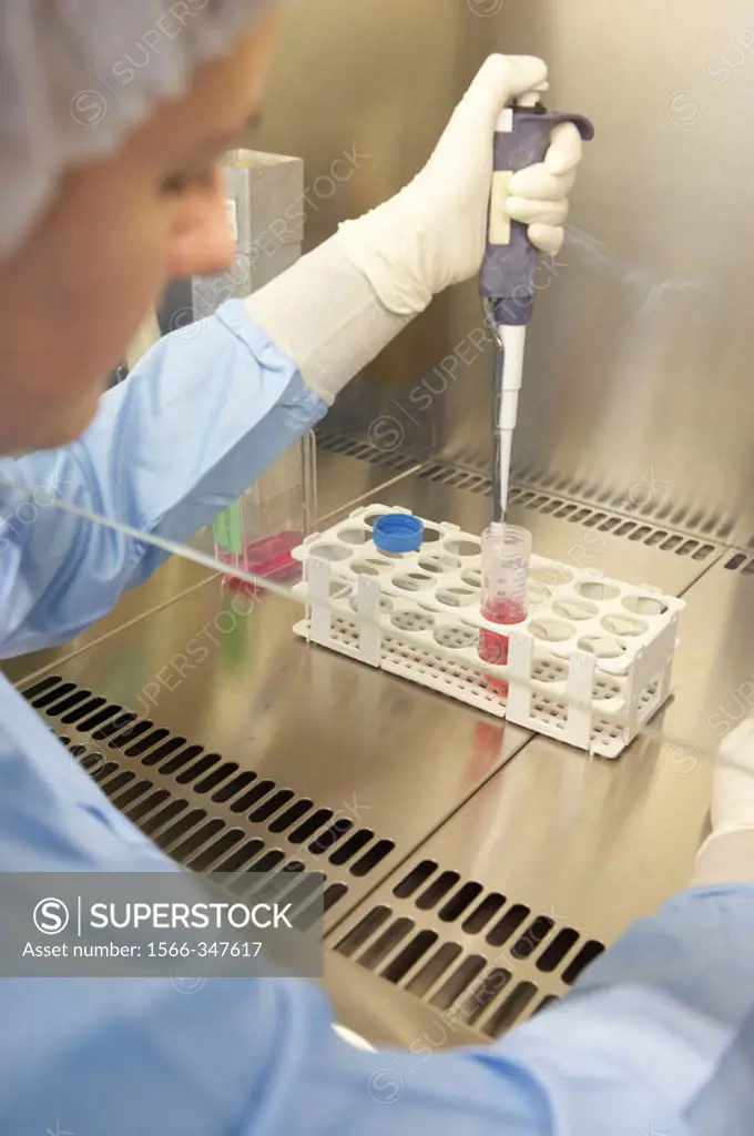 Taking samples from a T75 flask in biological safety cabinet. Laboratory, Fundación Inbiomed, Genetrix Group. Center for research in stem cells and re...